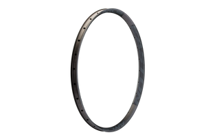 ARC 25 Offset Rim